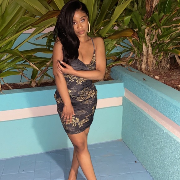 Meet your Posher, Ressa - Picture 1 of 1